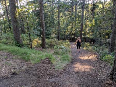 Loblolly Pines Adventure Cabin 3 - King Eureka Springs Εξωτερικό φωτογραφία