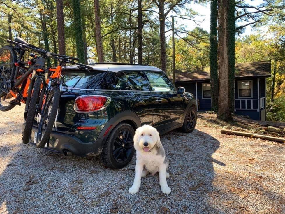 Loblolly Pines Adventure Cabin 3 - King Eureka Springs Εξωτερικό φωτογραφία